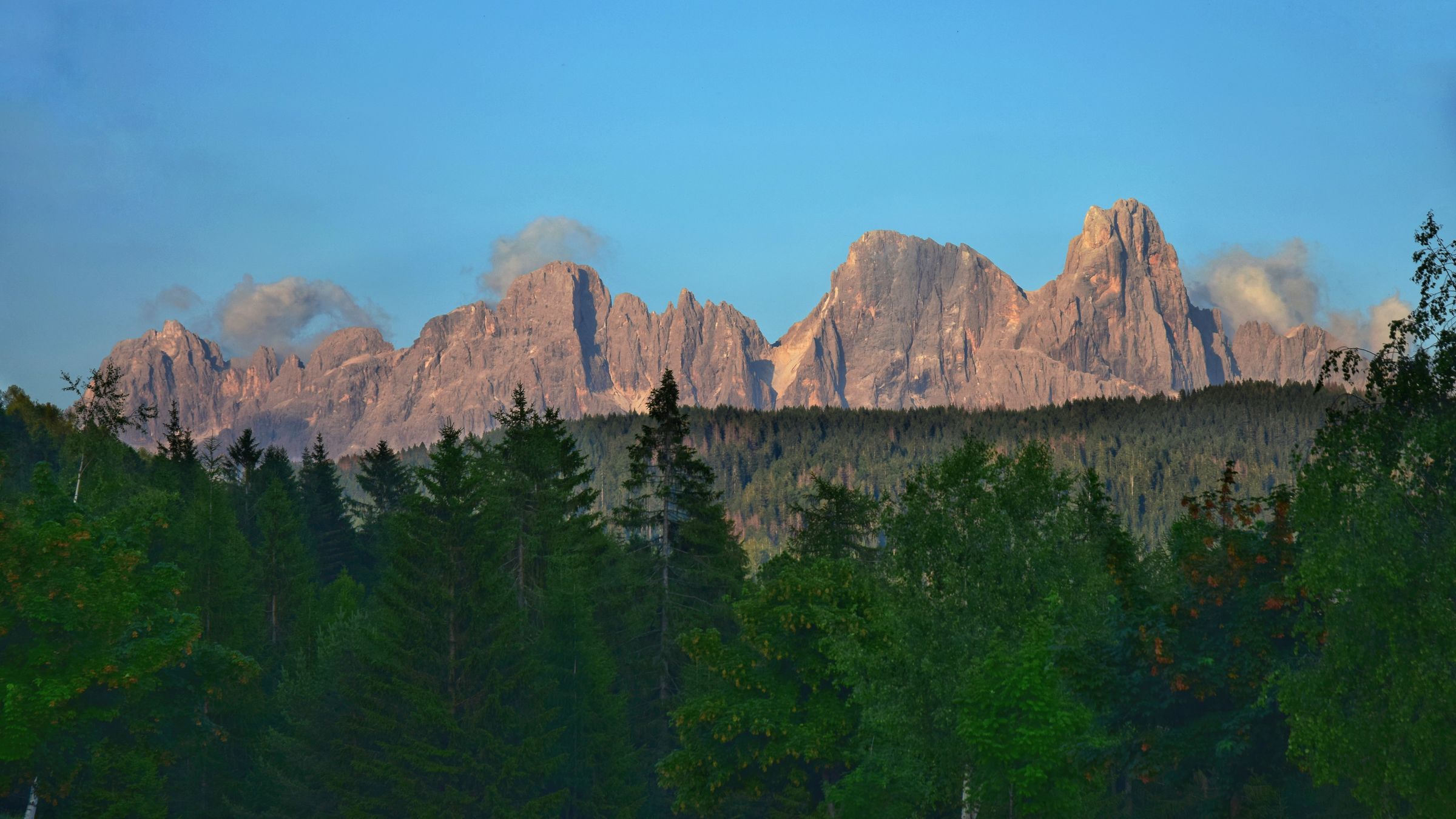 Larch forest below the Dolomites